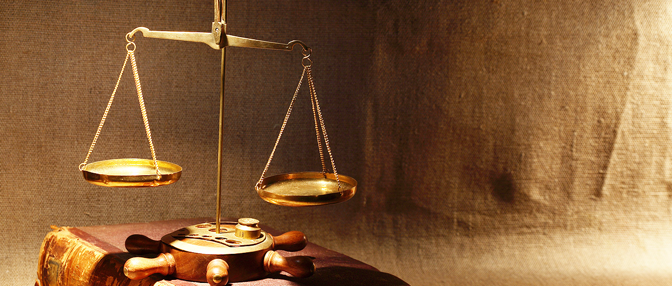 【MAC苹果电脑】完美适配的DDOS接单平台